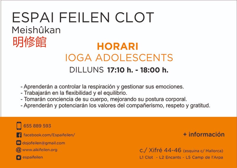 Información de las clases de Yoga del Dojo Feilen Meishûkan