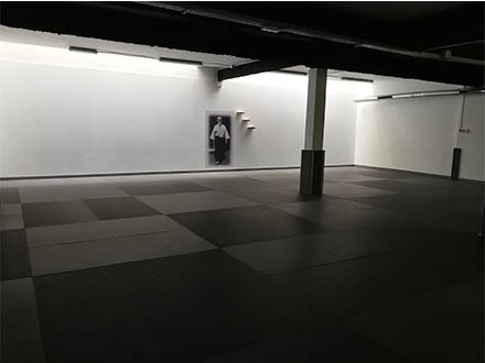 Sala con tatami de 165 metros cuadrados del Dojo Feilen Meishûkan